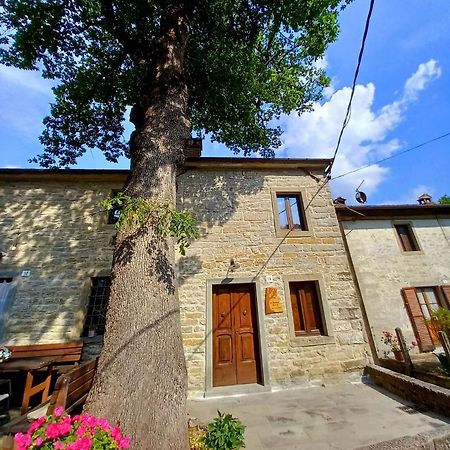 Apartamento Casina La Quercia Santa Sofia Exterior foto